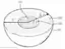 Fig. 01 - Positive electrode active material and secondary battery comprising the same