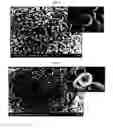 Fig. 22 - Positive electrode active material and secondary battery comprising the same