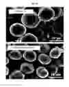 Fig. 63 - Positive electrode active material and secondary battery comprising the same
