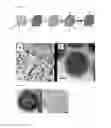 Fig. 02 - Method of forming a porous particle