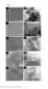 Fig. 03 - Method of forming a porous particle