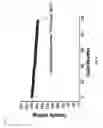 Fig. 09 - Nickel-based positive electroactive materials