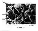 Fig. 03 - Porous carbonized composite material for high-performing silicon anodes