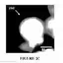 Fig. 05 - Porous carbonized composite material for high-performing silicon anodes
