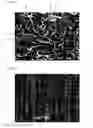 Fig. 04 - Current-collector metal foil, current collector, and current-collector-metal-foil manufacturing method