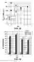 Fig. 11 - Catalysts for Bio-Electrochemical Systems