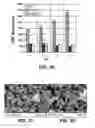Fig. 12 - Catalysts for Bio-Electrochemical Systems