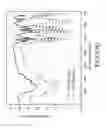 Fig. 04 - Polymeric ionic liquid and process for producing a polymer membrane including the same