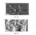 Fig. 07 - POLYMER ELECTROLYTE WITH WELL-DEFINED CUBIC SYMMETRY AND PREPARATION METHOD THEREOF