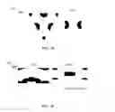 Fig. 08 - POLYMER ELECTROLYTE WITH WELL-DEFINED CUBIC SYMMETRY AND PREPARATION METHOD THEREOF
