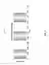 Fig. 05 - Frequency-based radio beamforming waveform transmission