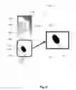 Fig. 09 - Exchangeable crimping die insert for a crimping die