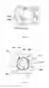 Fig. 08 - Brushless Motor