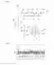 Fig. 03 - Longitudinally coupled resonator-type surface acoustic wave filter