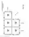 Fig. 03 - Multiplexer-memory cell circuit, layout thereof and method of manufacturing same