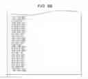 Fig. 33 - DATA PROCESSING DEVICE AND DATA PROCESSING METHOD