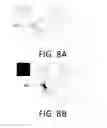 Fig. 10 - Wearable device and method for information delivery
