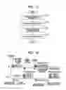 Fig. 09 - Wireless communication system, wireless communication apparatus, and wireless communication method