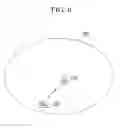 Fig. 06 - Frame transmitting method and frame receiving method