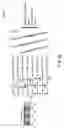 Fig. 28 - OPTICAL SUBCHANNEL ROUTING, PROTECTION SWITCHING AND SECURITY