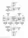 Fig. 01 - Self-describing error correction of consolidated media content