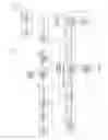 Fig. 11 - Apparatus and method for generating and transmitting reference signal in radio communication