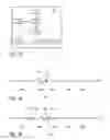 Fig. 07 - Soft generation of biometric candidates and references based on empirical bit error probability