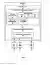 Fig. 05 - PIM source discovery by last hop router on shared tree