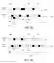Fig. 07 - Differential node configuration for network maintenance