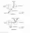 Fig. 28 - System and method for client communication in a distributed telephony network