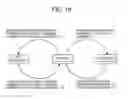 Fig. 18 - Communication terminal, communication system, and output method