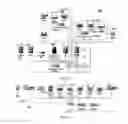 Fig. 02 - Customized information networks for deception and attack mitigation