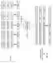 Fig. 16 - GLOBAL COORDINATION OF MULTIPLE DISTRIBUTED STORAGE NETWORK (DSN) MEMORIES