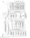 Fig. 02 - Non-transitory computer-readable recording medium storing computer-readable instructions for causing portable terminal to execute communication processing with image processing device, portable terminal, and communication system