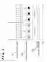 Fig. 03 - Reproducing apparatus and reproducing method