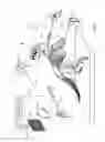 Fig. 02 - Range imaging