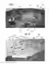 Fig. 07 - Method and system of 3D image capture with dynamic cameras