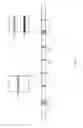 Fig. 06 - Common synchronization channel design for narrowband communications