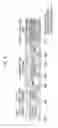 Fig. 04 - METHOD FOR PERFORMING SYNCHRONIZATION WITH BASE STATION IN WIRELESS COMMUNICATION SYSTEM, AND APPARATUS THEREFOR