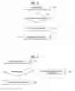 Fig. 08 - METHOD FOR PERFORMING SYNCHRONIZATION WITH BASE STATION IN WIRELESS COMMUNICATION SYSTEM, AND APPARATUS THEREFOR