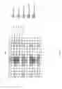 Fig. 04 - Small cell demodulation reference signal and initial synchornization