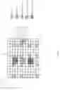 Fig. 09 - Small cell demodulation reference signal and initial synchornization