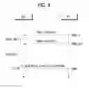 Fig. 08 - Method for transmitting and receiving downlink signal in wireless communication system, and device therefor