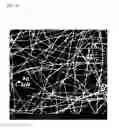 Fig. 20 - Electrical conductors, electrically conductive structures, and electronic devices including the same