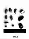 Fig. 02 - Almond tree named 'Buralmondtwo'