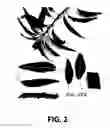 Fig. 03 - Almond tree named 'Buralmondtwo'