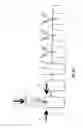 Fig. 07 - PLANTING METHOD MAKING USE OF A SUBSTRATE PLUG WITH A PRESS SECTION