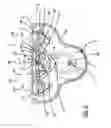 Fig. 03 - Mowing cutter drive