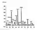 Fig. 03 - INTEGRATED INCUBATION, CULTIVATION AND CURING SYSTEM AND CONTROLS FOR OPTIMIZING AND ENHANCING PLANT GROWTH, DEVELOPMENT AND PERFORMANCE OF PLANT-BASED MEDICAL THERAPIES