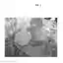 Fig. 02 -  plants with improved nutritional value